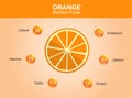 Orange nutrition facts, orange fruit with information, orange vector Royalty Free Stock Photo