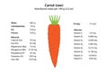 Carrot (raw). Nutritional value per 100 g (3.5 oz).