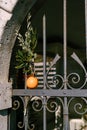 An orange and an oak branch nailed to the door of a house. Badnjak is a national Serbian holiday, an analog of Christmas