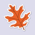 orange oak leaves editable cartoon style sticker vector Royalty Free Stock Photo