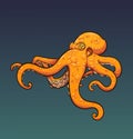 Orange cartoon octopus with blue background