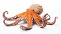 Orange Octopus With Tentacles In Precisionism Style