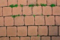 Orange old brick street texture background and small grass Royalty Free Stock Photo