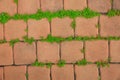 Orange old brick street texture background and small grass Royalty Free Stock Photo