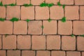 Orange old brick street texture background and small grass Royalty Free Stock Photo