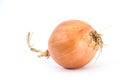 Orange onion Royalty Free Stock Photo