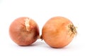 Orange onion Royalty Free Stock Photo