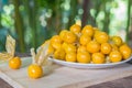 Orange Organic Cape Gooseberries in a plate