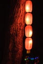 Orange original Chinese sausage-shaped lantern hanging vertically down on a tree at night illuminating the bark