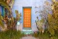 Orange Painted Door with Cactus in the Southwest Royalty Free Stock Photo