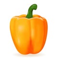 Orange paprika isolated on white background. 3D realistic vector illustration. Sweet juicy bell pepper