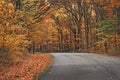 An orange pathway of trees in autumn at Brown County State Park.