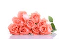 Orange peach color tone of rose flower bouquet on white background Royalty Free Stock Photo