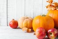 Orange and peachy pumpkins ripe organic red glossy apples pomegranates dry golden leaves on white wood background. Thanksgiving Royalty Free Stock Photo