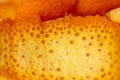 Orange peel background. Zest close-up. Inner side of orange peel, ragged uneven edge. Copy Space, close up Royalty Free Stock Photo