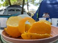 Orange peel on plates after meal at a campsite