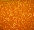 Orange peel texture background Royalty Free Stock Photo