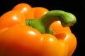 Orange pepper Royalty Free Stock Photo