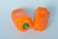 Orange pepper Royalty Free Stock Photo