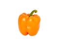 Orange pepper isolated on white background Royalty Free Stock Photo