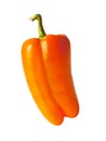 Orange pepper isolated on white Royalty Free Stock Photo