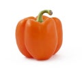 Orange pepper on white background