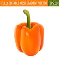 Orange pepper on white background. Vector illustration