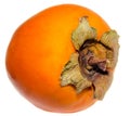 Orange Persimmon (Kaki, Diospyros kaki), close up, isolated, white background.