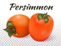 Orange persimmon two