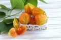 Orange physalis berries