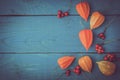 Orange physalis with red berries on the wooden cyan table