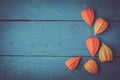 Orange physalis on the wooden cyan table horizontal