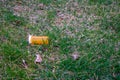 An Orange Pill Bottle in a Green Grass Field Royalty Free Stock Photo