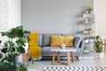 Orange pillows and blanket on grey couch in living room interior