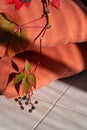 Orange pillows and wild grape leaves and berries on beige table background with natural sunlight shadows. Aesthetic cozy