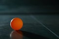 Orange ping pong ball on a green table Royalty Free Stock Photo