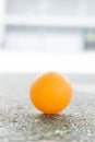 Orange ping pong on the floor Royalty Free Stock Photo