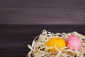 Orange and pink Easter eggs in straw on dark wooden background Royalty Free Stock Photo