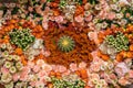 Orange and pink floral arrangement with cactus