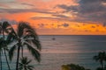 Sunset over the ocean with palm trees in Oahu, Hawaii Royalty Free Stock Photo