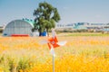 Orange pinwheel with yellow common cosmos flower field Royalty Free Stock Photo