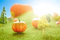 Orange plastic pumpkins on a green meadow with green grass. Macro shooting. Fairy tale.