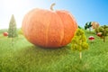 Orange plastic pumpkins on a green meadow with green grass. Macro shooting. Fairy tale.