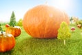 Orange plastic pumpkins on a green meadow with green grass. Macro shooting. Fairy tale.