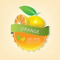 Orange plum fruit label, vector illustration Royalty Free Stock Photo