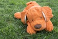 Orange Plush Dog Lying on Grass