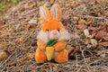 orange plush hare sits on gray brown dry grass in nature