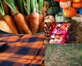 Fall season in farm. Orange Color theme Autumn. Country life photo collage. Royalty Free Stock Photo