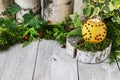 Orange pomander ball with candle on wooden table Royalty Free Stock Photo