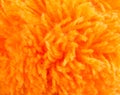 Orange pompon closeup Royalty Free Stock Photo